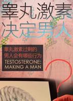 《睾丸》希腊