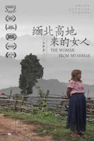 野生缅北全集完整版