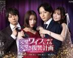 日剧《完美妻子的绝妙复仇计划》