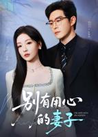老婆9免费完整高清电视剧在线日剧花